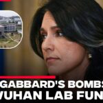 Gabbard Releases Documents on Fauci, Wuhan Lab Research Funding Before Leaving Office