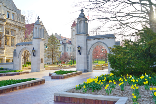 Stone archway entrance on a university campus with blooming yellow flowers