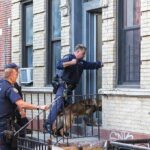 Police officers with a K-9 approach an apartment doorway