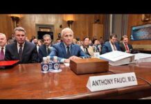 Senate plans vote to hold Fauci in contempt for refusing to answer COVID-19 questions