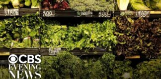 CDC looking into several items potentially linked to cyclospora parasite