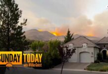 Nevada Gov. Declares State of Emergency as Hawk Fire Spreads