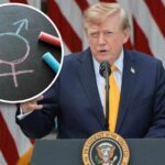 Child Abuse? DOJ Targets Classrooms Trump Warns Public Schools: Telling Kids to Become Transgender Is ‘Child Abuse’
