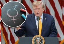 Child Abuse? DOJ Targets Classrooms Trump Warns Public Schools: Telling Kids to Become Transgender Is ‘Child Abuse’