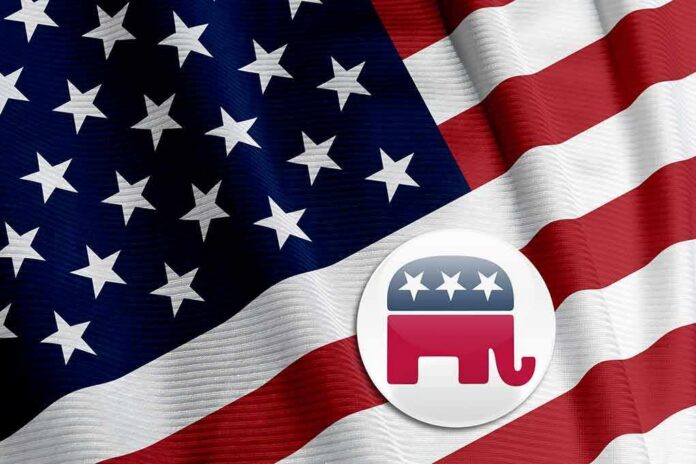 American flag with Republican elephant emblem