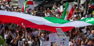 Crowd of protesters holding signs and a large tricolor flag