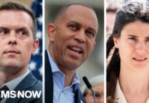 Leaders Revolt, Backbenchers Flip — Why? Democrats DEFY Jeffries, vote to SAVE GOP agenda