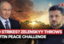 Putin's Biggest Test? Zelenskyy Proposes 'No Airstrikes' Ceasefire Offer Ahead Of Trump Talks