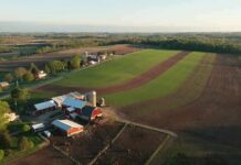 Aerial view of a farm with red barns and expansive green and brown fields