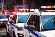 police cars with flashing lights on a city street